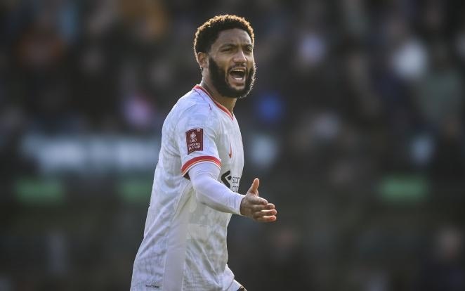 特别是对于 特别是对于